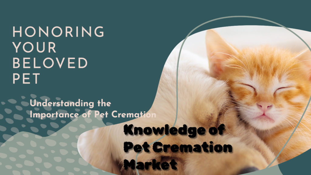 Understanding the Pet Cremation Market