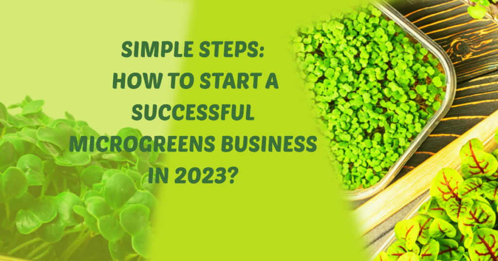 Simple Steps: How to Start a microgreens business