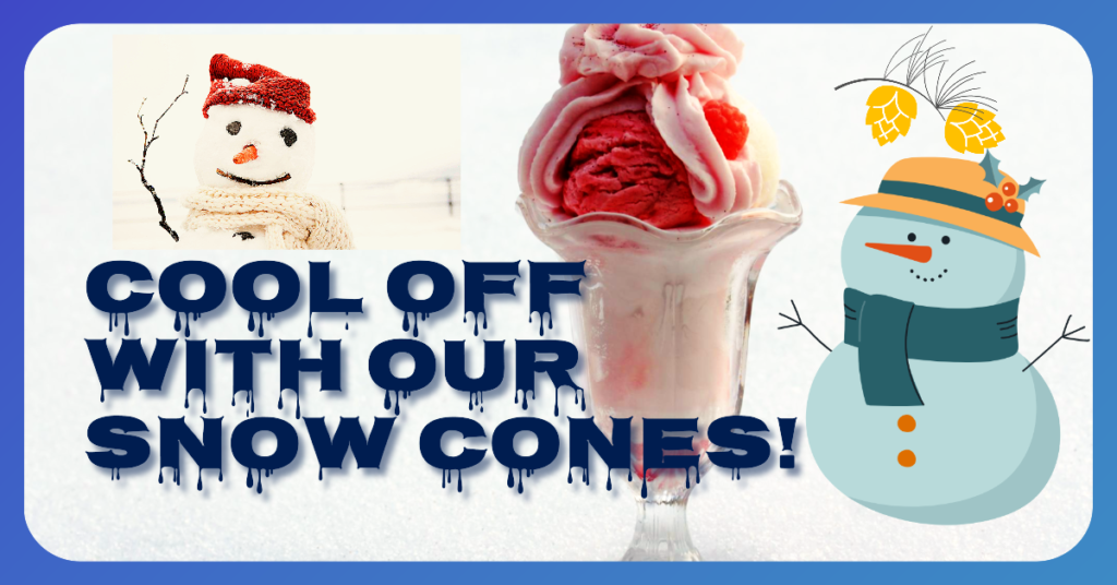 Setting Up Your Snow Cone Operation for Success