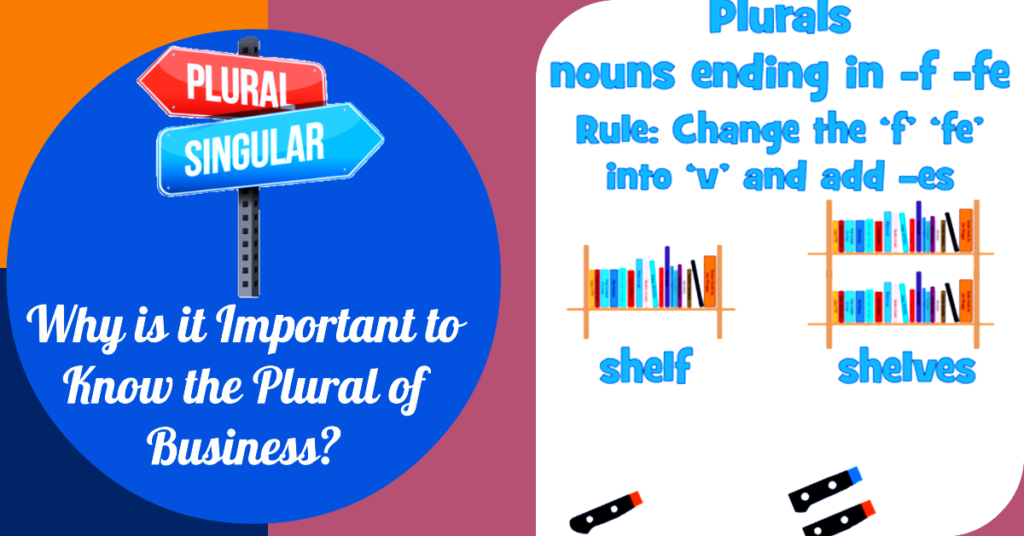 Why is it Important to Know the Plural of Business?