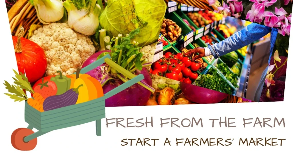 How to Start a Farmers Market